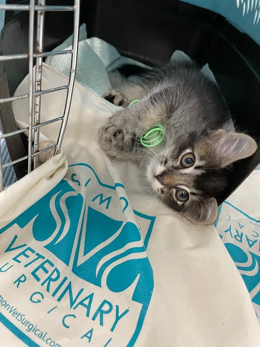 Simon Veterinary Surgical - Sherman Oaks Picture 1