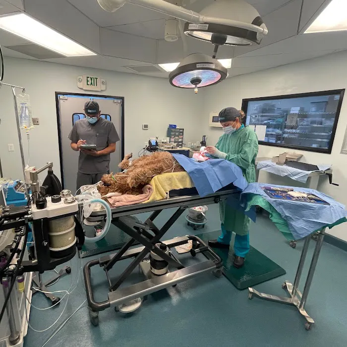 Simon Veterinary Surgical - Sherman Oaks Picture 5