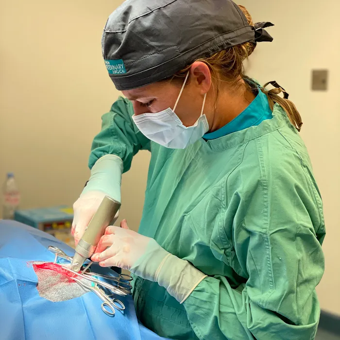 Simon Veterinary Surgical - Sherman Oaks Picture 10
