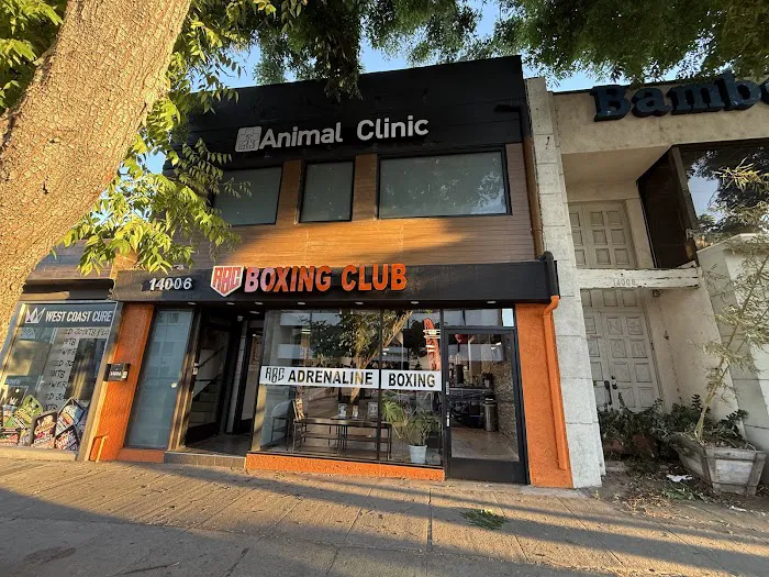 Veterinary Hospital Animal Clinic International Inc. Picture 1