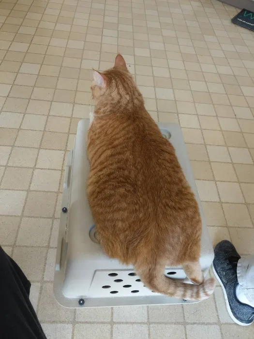 Baldy View Animal Hospital Picture 8