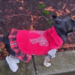Baldy View Animal Hospital: Bobek Michael A DVM