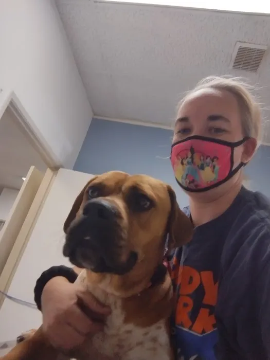Francis Animal Hospital Picture 1