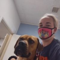 Francis Animal Hospital ico