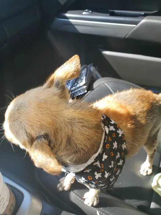 Francis Animal Hospital Picture 2