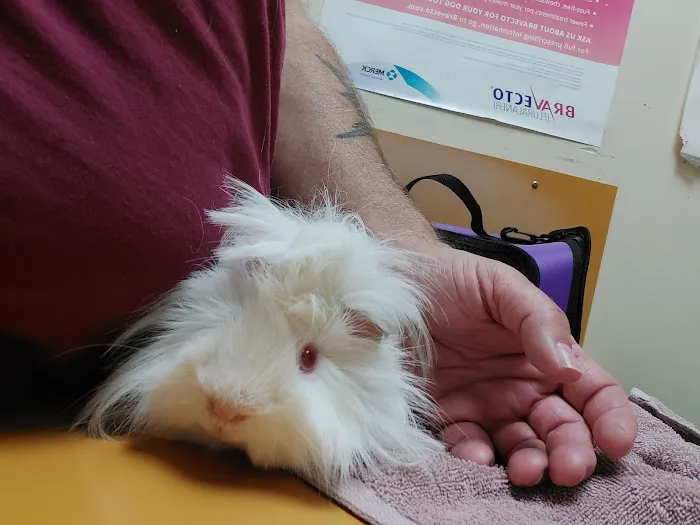 Chaparral Pet Hospital Picture 2