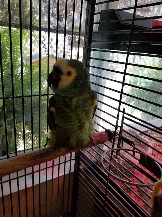 Chaparral Pet Hospital Picture 10