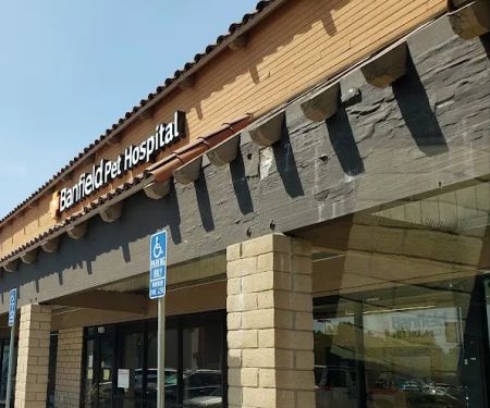 Banfield Pet Hospital