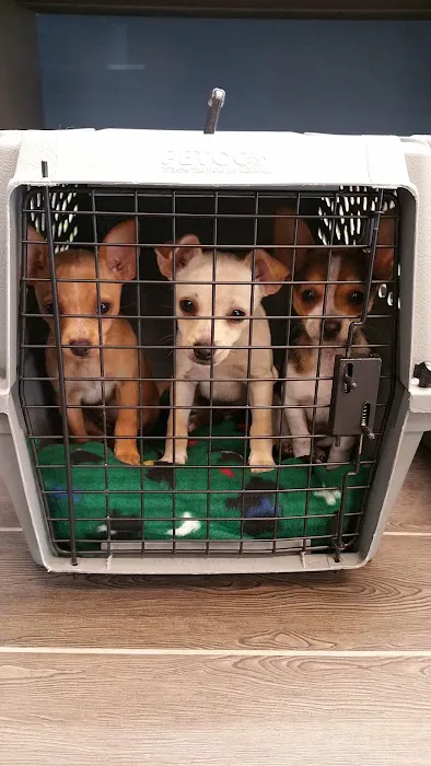Banfield Pet Hospital Picture 7