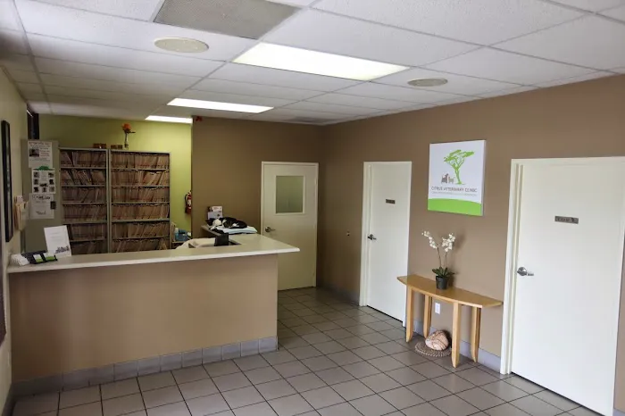 Citrus Veterinary Clinic Picture 4