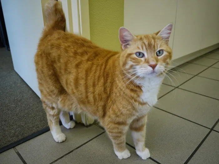 Citrus Veterinary Clinic Picture 8
