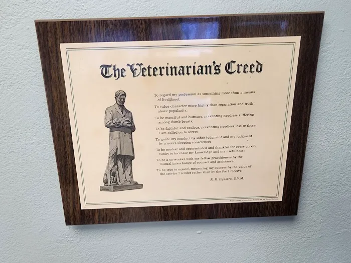 City Pet Hospital Picture 4