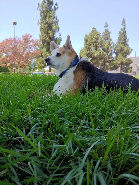 Chino Veterinary Hospital Picture 1