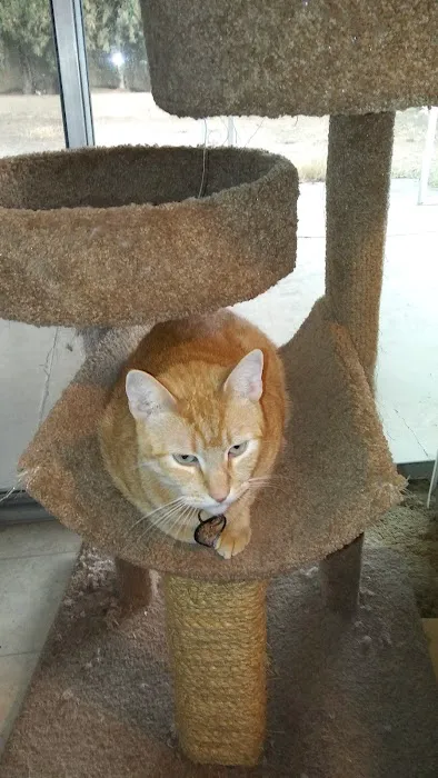 Chino Veterinary Hospital Picture 3