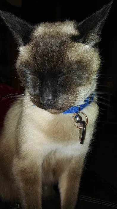 Chino Veterinary Hospital Picture 2