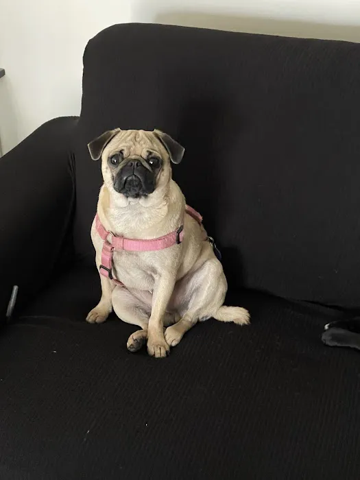 Chino Veterinary Hospital Picture 10