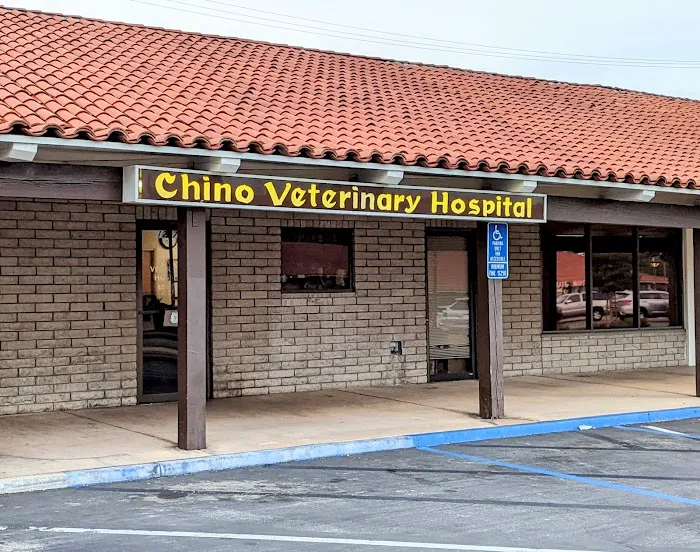 Chino Veterinary Hospital Picture 9