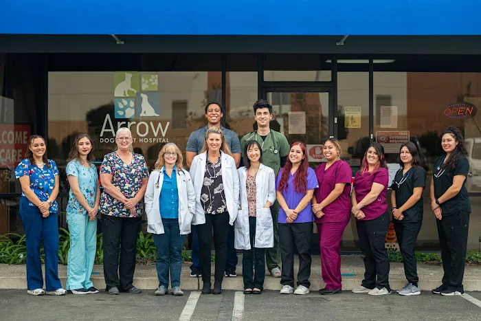 Arrow Dog And Cat Hospital Picture 7