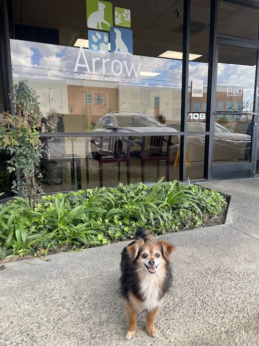 Arrow Dog And Cat Hospital Picture 4
