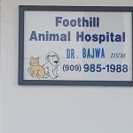 Veterinarian