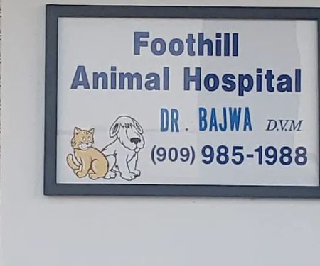 Veterinarian