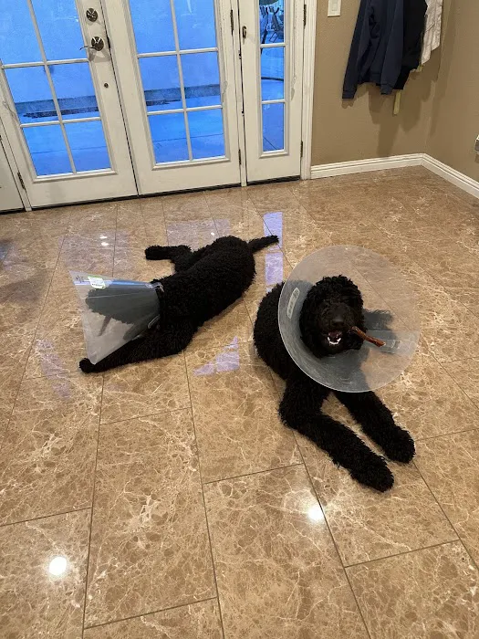 Priceless Pets Rescue- Vet Clinic Picture 3