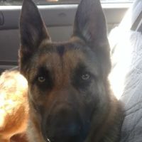 East Bay SPCA Spay & Neuter Surgery Center ico