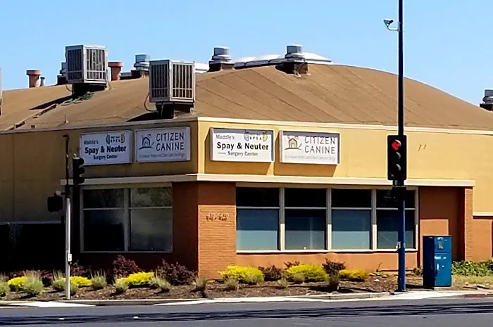 East Bay SPCA Spay & Neuter Surgery Center Picture 3