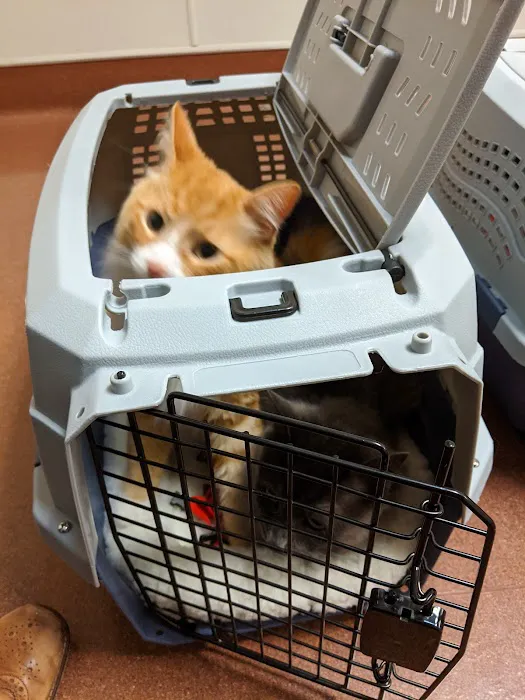 East Bay SPCA Theodore B. Travers Veterinary Clinic Picture 1