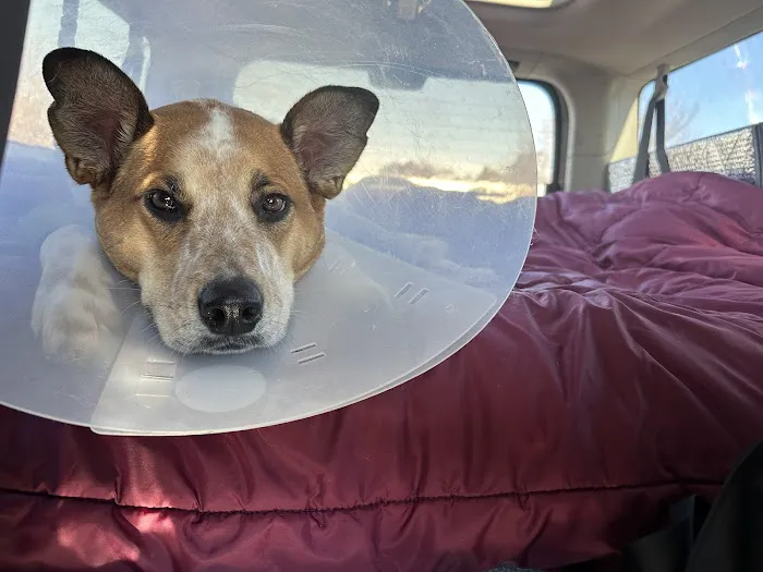 East Bay SPCA Theodore B. Travers Veterinary Clinic Picture 2