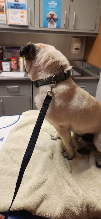 East Bay SPCA Theodore B. Travers Veterinary Clinic Picture 4