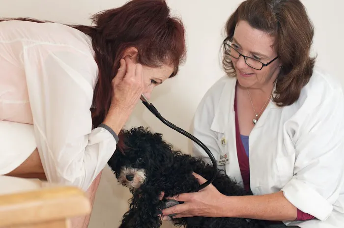 East Bay SPCA Theodore B. Travers Veterinary Clinic Picture 7