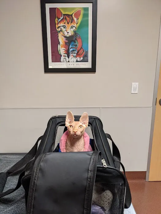 East Bay SPCA Theodore B. Travers Veterinary Clinic Picture 10