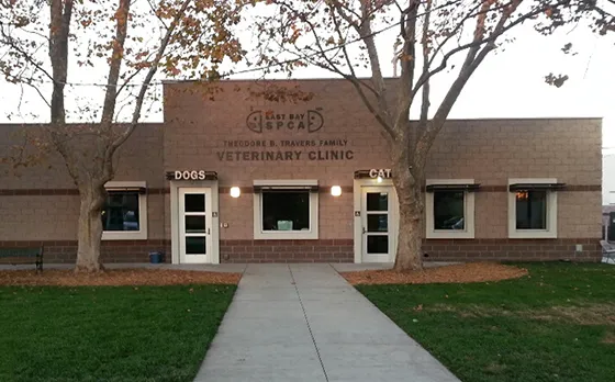 East Bay SPCA Theodore B. Travers Veterinary Clinic Picture 9