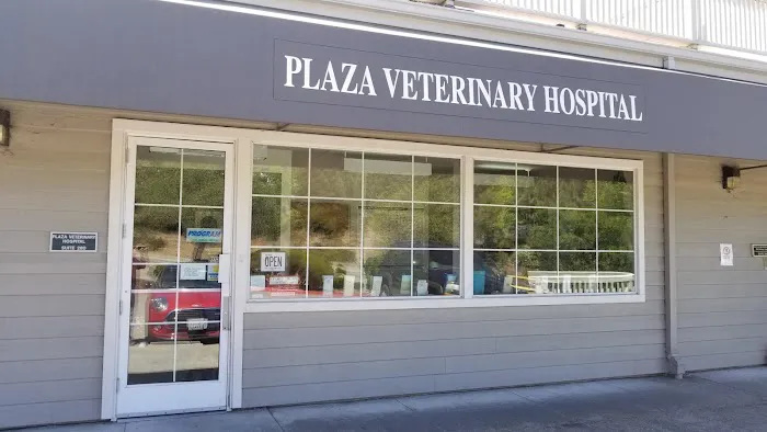 Plaza Veterinary Hospital Picture 1