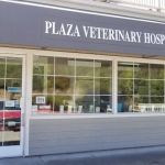 Plaza Veterinary Hospital
