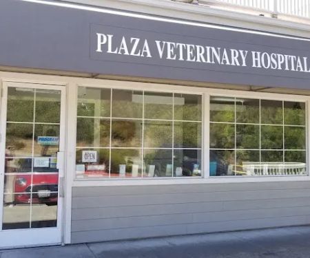 Plaza Veterinary Hospital