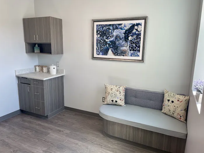 Windsong Veterinary Hospital Picture 8