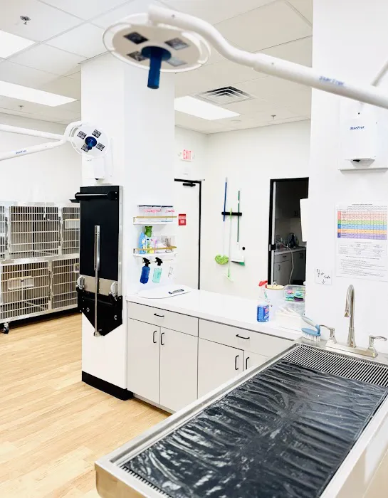 Embrace Wellness Animal Clinic Picture 2