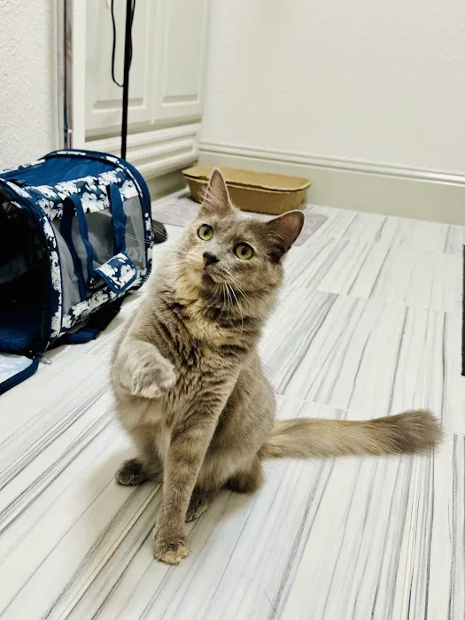 Embrace Wellness Animal Clinic Picture 1