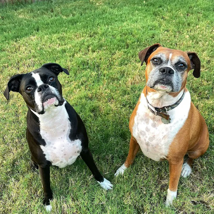 Embrace Wellness Animal Clinic Picture 7