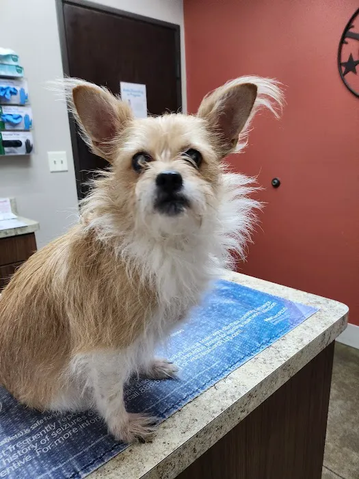 Hooves and Paws Pet Hospital Picture 1