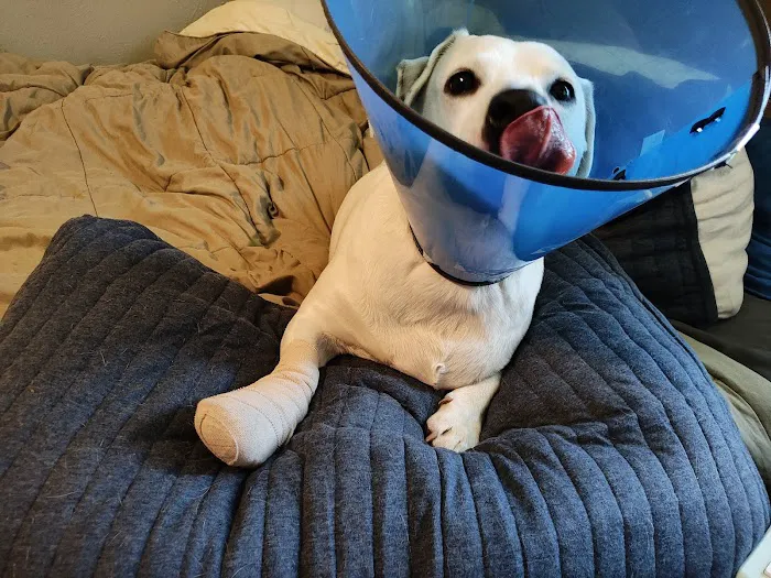 Hooves and Paws Pet Hospital Picture 6