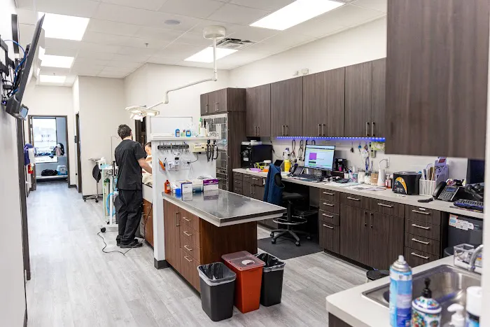 PetNest Animal Hospital Picture 1