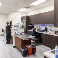 PetNest Animal Hospital ico