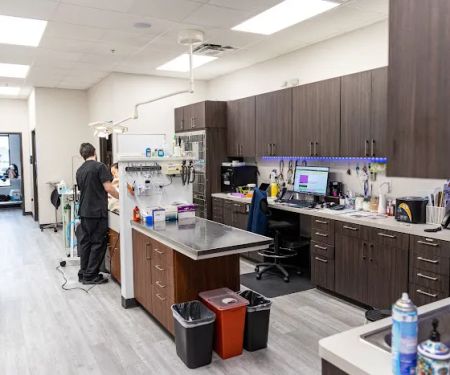 PetNest Animal Hospital