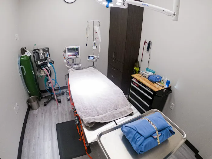 PetNest Animal Hospital Picture 10