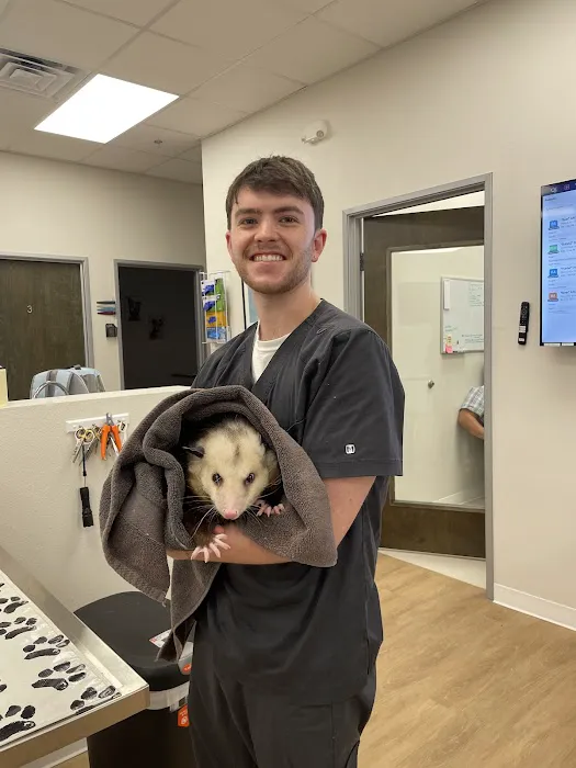 Custer Road Animal Hospital Picture 4