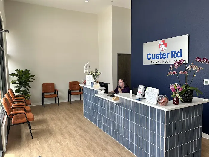 Custer Road Animal Hospital Picture 5