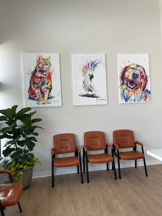 Custer Road Animal Hospital Picture 9